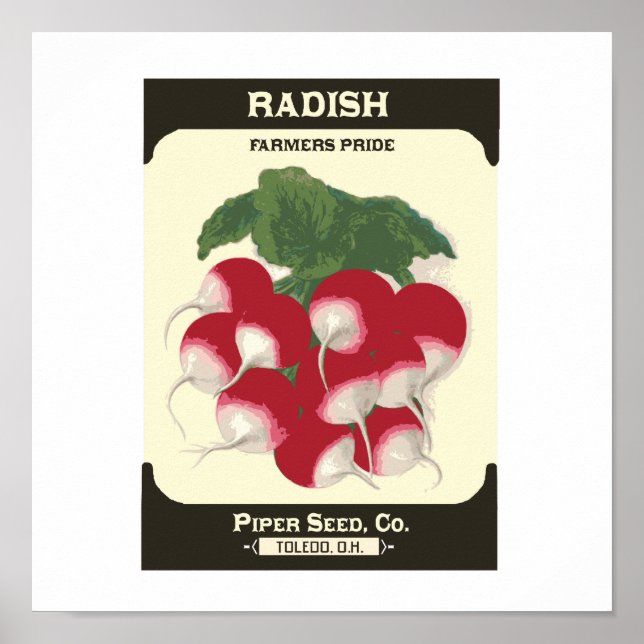 Retro Radish Vegetable Seed Packet Poster Print (Front)