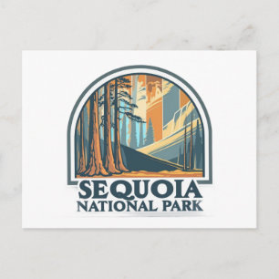 retro Sequoia National Park Giant Sequoia Trees Postcard