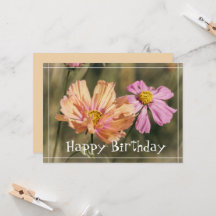 Retro Summer Cosmea Blooms Birthday
