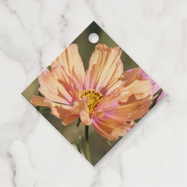 Retro Summer Cosmea Blooms  Favour Tags (Front)