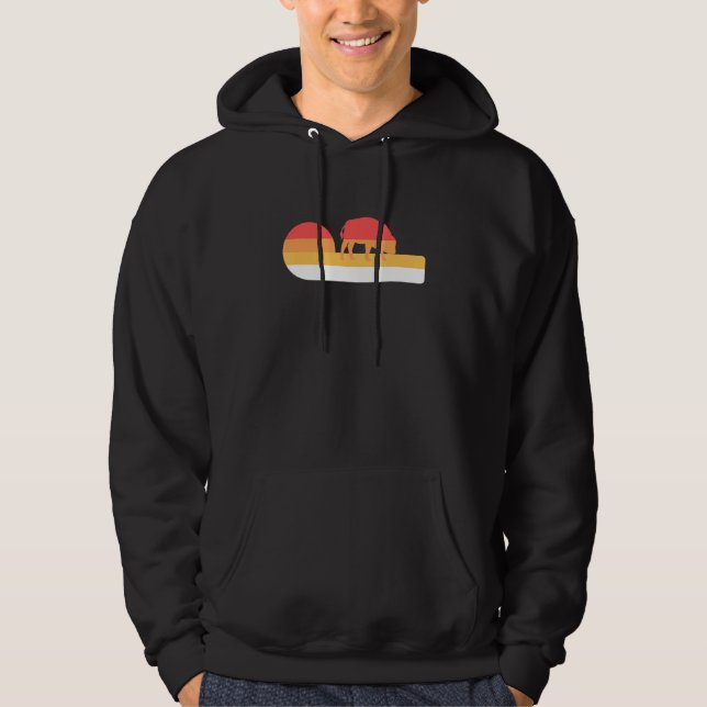 Retro Sunset American Bison Hoodie (Front)