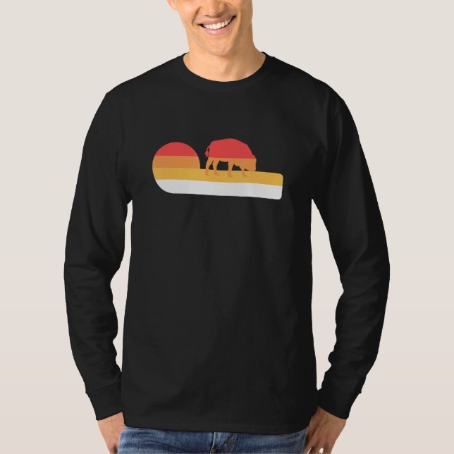 Retro Sunset American Bison T-Shirt (Front)