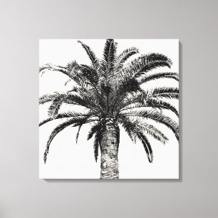 Retro Tropical Island Palm Tree in Black and White Canvas Print