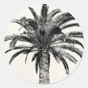 Retro Tropical Island Palm Tree in Black and White Classic Round Sticker