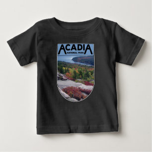 Retro Vintage Acadia National Park Maine Island Baby T-Shirt
