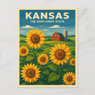 Retro Vintage Travel Kansas Sunflower Landscape Postcard