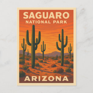 Retro Vintage Travel Saguaro National Park Arizona Postcard