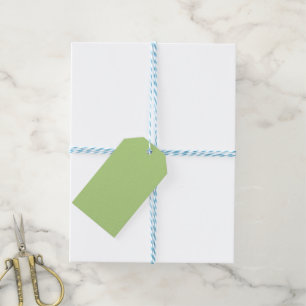 Retro Zig-Zag Orange and Green Gift Tags