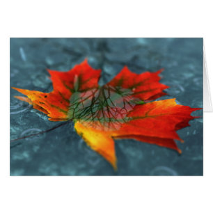 Retroreflection Card