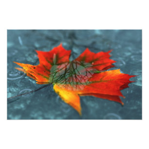 Retroreflection Photo Print