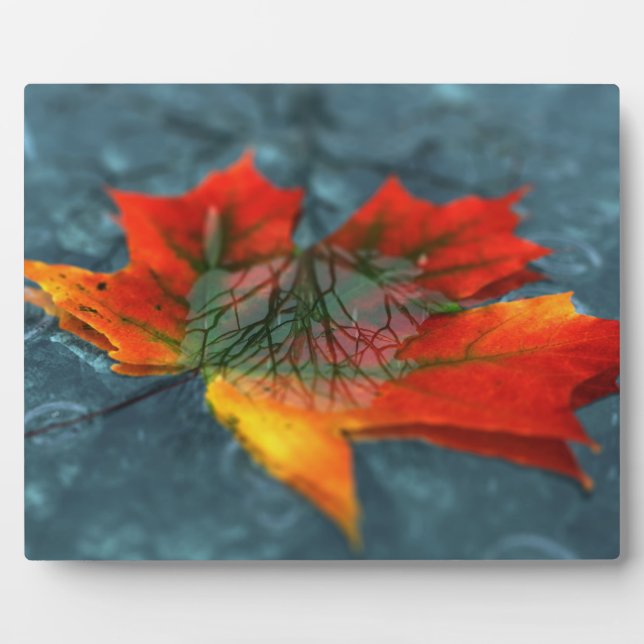 Retroreflection Picture Plaque (Front)