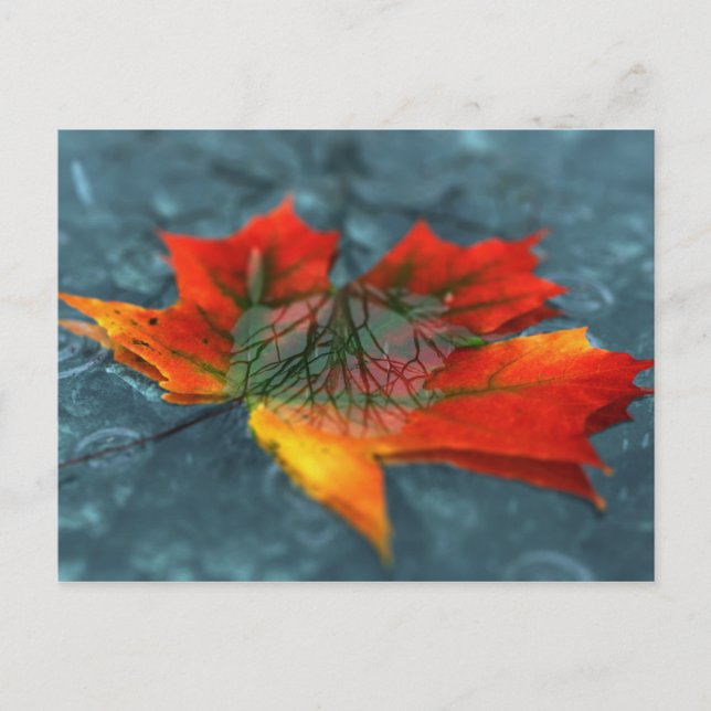 Retroreflection Postcard (Front)