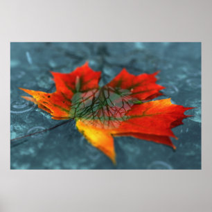 Retroreflection Print