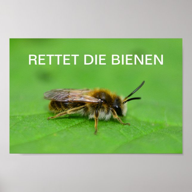 Rettet die Bienen Poster (Front)
