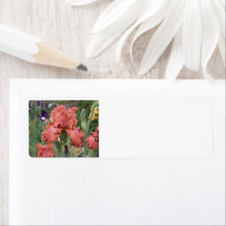 Return Address Label
