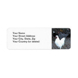 Return Address Label: Chickens