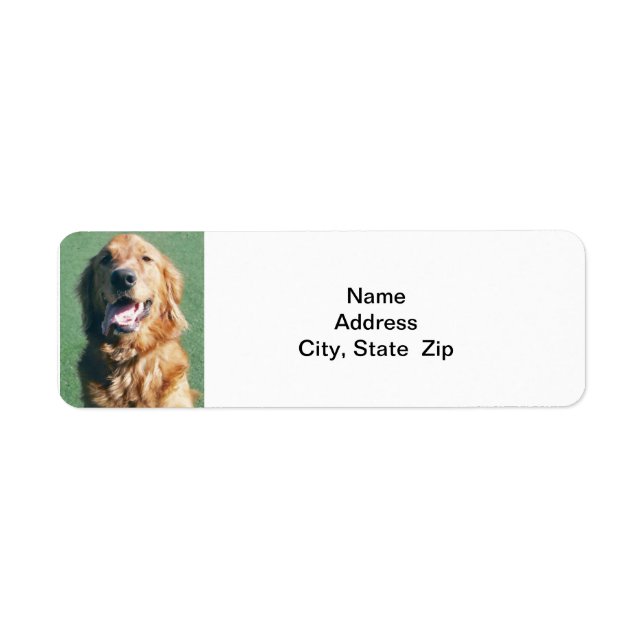 Return Address Label, Golden Retriever (Front)