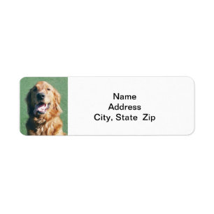 Return Address Label, Golden Retriever