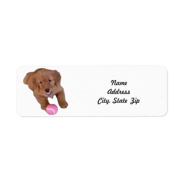 Return Address Label, Golden Retriever Puppy (Front)