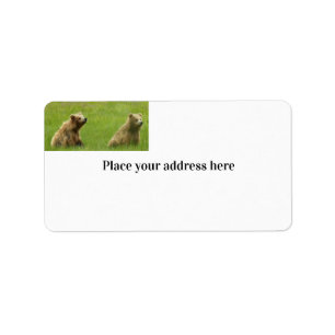 Return Address Label w/ grizzly bear cubs