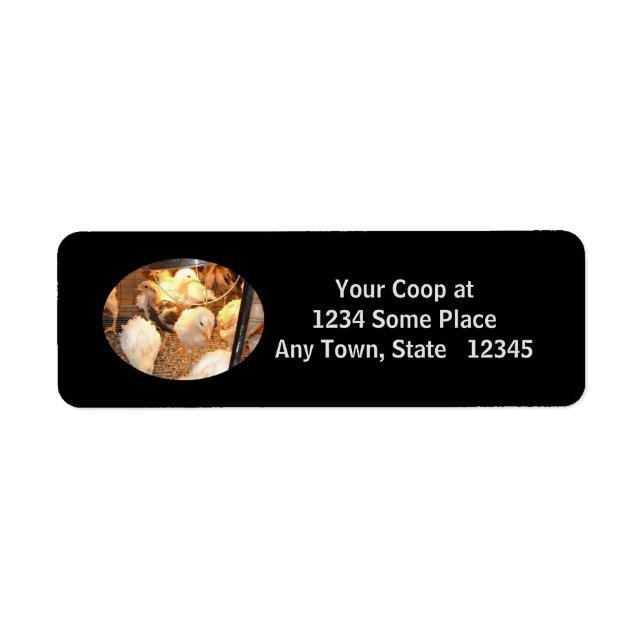 Return Address Labels (Front)