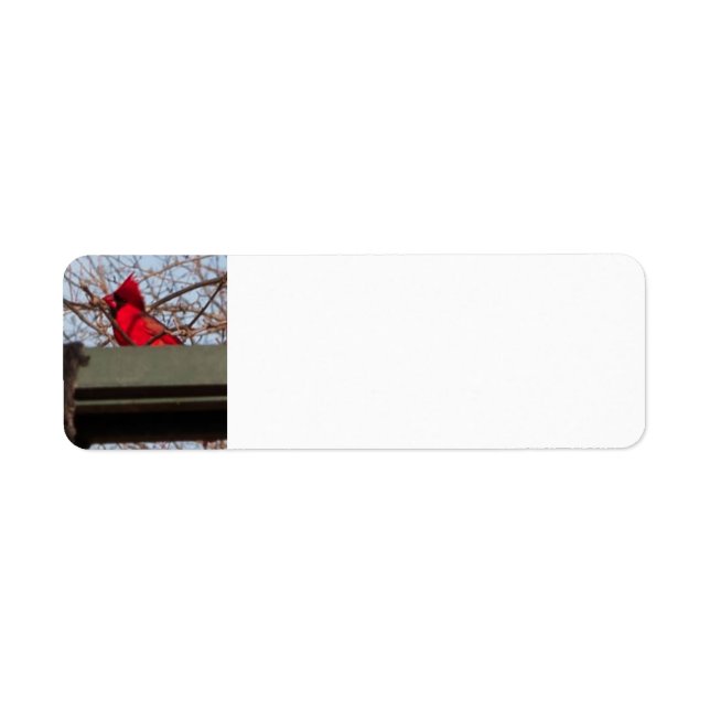 return address labels Cardina; (Front)