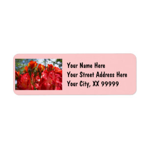 Return Address Labels Pink Red Rose Flowers custom