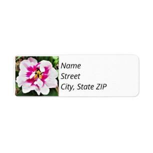 Return Address Labels Pink Tulip.