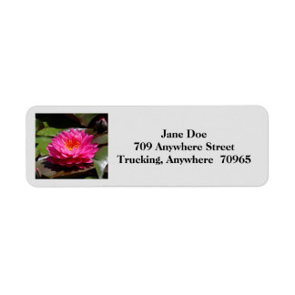 Return mailing address labels #30