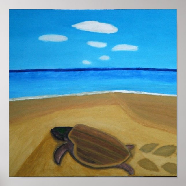 Return of the Turtle Poster (Front)