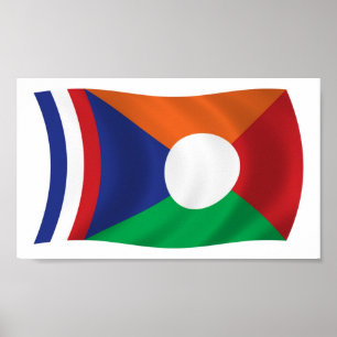 Reunion Flag Poster Print