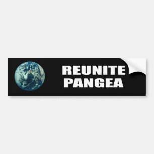 REUNITE PANGEA BUMPER STICKER
