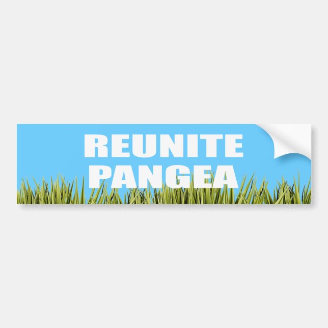 REUNITE PANGEA BUMPER STICKER (Front)