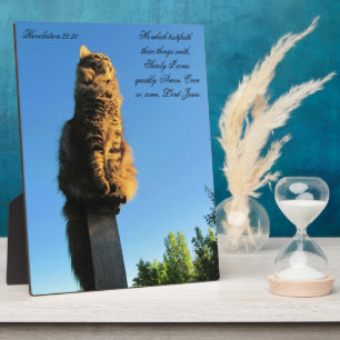 Revelation 22:20 Cat Waiting For Jesus Plaque