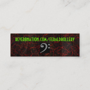 Reverbnation FD Card
