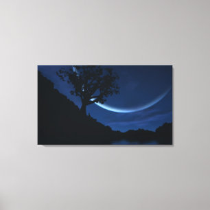 Reverie Canvas Print