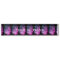 Reversed Loop Fingerprint Purplish