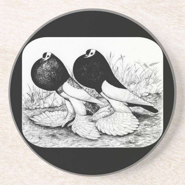 Reversewing Pouter Pigeons Coaster (Front)