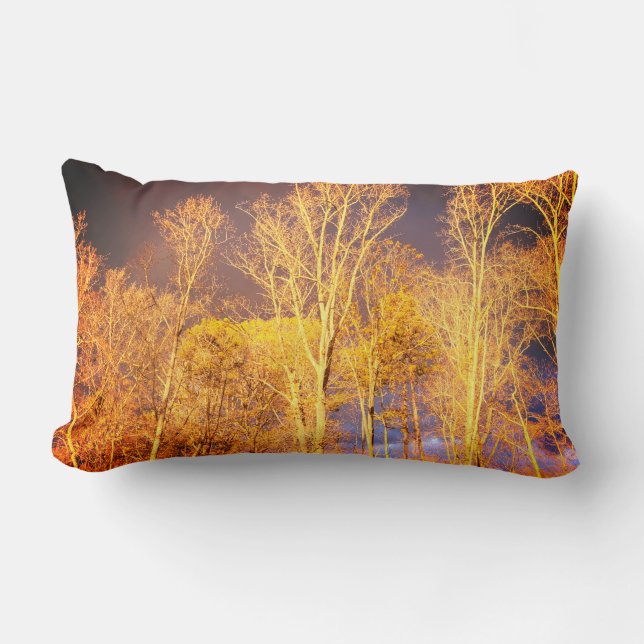 Reversible Lumbar Throw Pillow (Front)