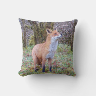 Reversible Red Fox Cub Cushion