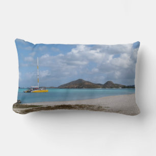Reversible Scenic Images in Antigua Pillow