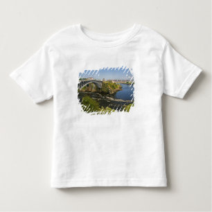 Reversing falls on the St. John River at St. 2 Toddler T-Shirt
