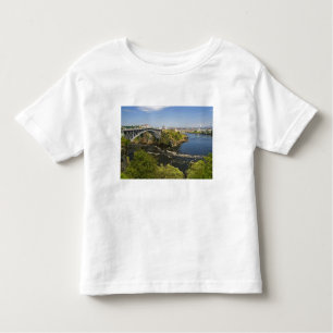 Reversing falls on the St. John River at St. 2 Toddler T-Shirt