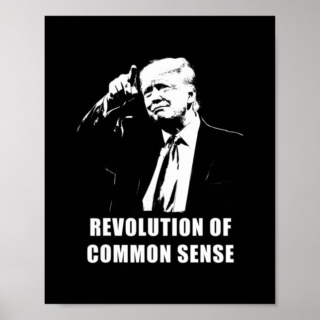 Revolution Of Common Sense – Trump Inauguration 20 Poster (Front)