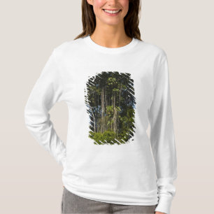 Rewa River edge Rainforest Guyana T-Shirt