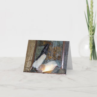Rex and Gizmo Pet Rat Note Card
