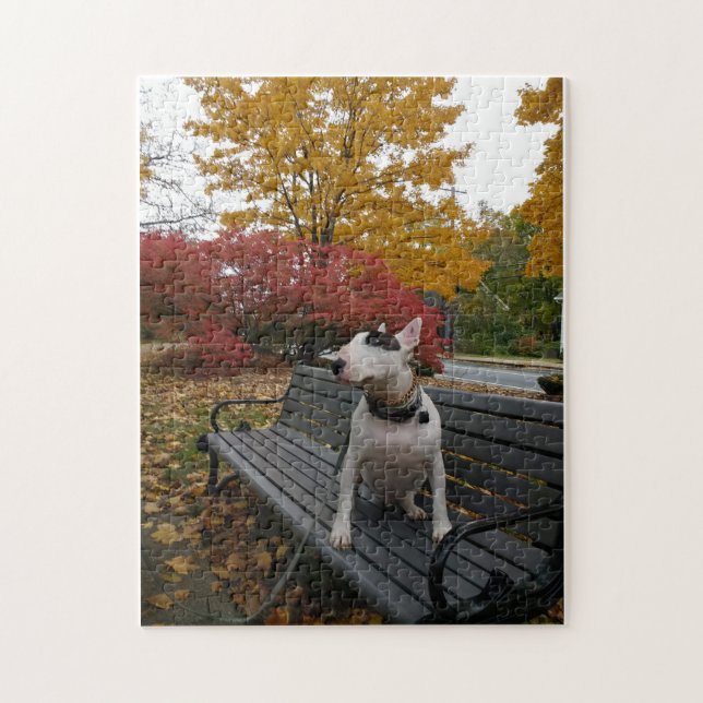 Rex in autumn jigsaw puzzle (Vertical)