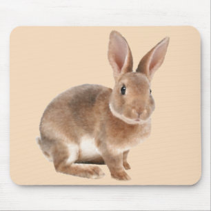 Rex Rabbit Mouse Pad