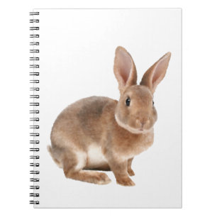 Rex rabbit spiral notebook