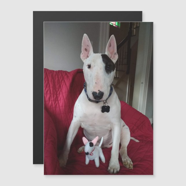 Rex The TV Terrier and Ditto magnet (Front/Back)